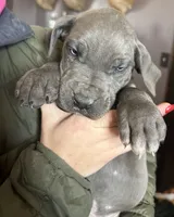 processed/43ee5660-7212-4798-a7ad-1437db148b48/listing/74a97f4b-9c49-4233-99b6-b36c20b80a00/b3cb6604-9808-43d4-8981-7370f47d378e