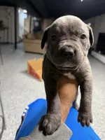 processed/43f87f47-8185-4dde-84cc-a399d393ca8c/listing/96197182-457f-484c-a30d-4ba9c3114212/e5c6ce60-48fc-4984-8ef5-a097316b059b