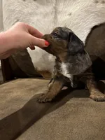 processed/44035071-cd3c-4070-8719-309879295335/listing/41e62866-b666-4c59-a83b-f937c3d51490/8b31ca74-5fa7-403e-a83d-7c2d226b6e90