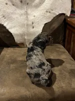 processed/44035071-cd3c-4070-8719-309879295335/listing/41e62866-b666-4c59-a83b-f937c3d51490/a2f96b24-b752-4718-9bfe-4c53dc0777d8