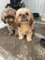 processed/44054ada-af8b-4f1d-9414-bd298717f878/facility/5aac81b0-4fe3-4152-925b-b533dc9a78b2