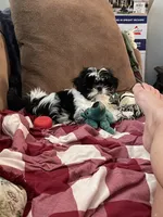 processed/44054ada-af8b-4f1d-9414-bd298717f878/listing/7873f3e7-98f1-4908-a00d-be7063466997/03b117ec-4327-4df4-80cc-be75295da9fa