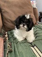 processed/44054ada-af8b-4f1d-9414-bd298717f878/listing/7873f3e7-98f1-4908-a00d-be7063466997/460b9161-907e-4963-b38a-d4dcef2bd80b