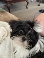 processed/44054ada-af8b-4f1d-9414-bd298717f878/listing/7873f3e7-98f1-4908-a00d-be7063466997/901a877a-56f4-422d-9afc-cf078124f403