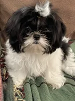 processed/44054ada-af8b-4f1d-9414-bd298717f878/listing/7873f3e7-98f1-4908-a00d-be7063466997/d5f95e56-b3b3-4858-8847-1f840a295c46