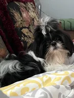 processed/44054ada-af8b-4f1d-9414-bd298717f878/listing/7873f3e7-98f1-4908-a00d-be7063466997/e4ac6c3c-fa08-4f73-a211-41914cc2e27c