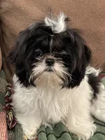 processed/44054ada-af8b-4f1d-9414-bd298717f878/listing/7873f3e7-98f1-4908-a00d-be7063466997/e5319a32-94cd-48ee-8613-f4bb28905014