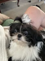 processed/44054ada-af8b-4f1d-9414-bd298717f878/listing/7873f3e7-98f1-4908-a00d-be7063466997/f54c0cef-13e0-4a9e-ae7d-c18fc0e0663b