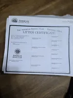 Melon, a male Labrador Retriever for sale in Newberry, SC – Photo 5 of 5