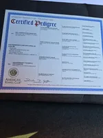 processed/4405a529-818f-4850-87cc-e9d1b1959787/listing/4b0ca6ec-6d4a-4251-8b51-ab4082a658ce/36017559-c72f-4b27-9aeb-10dfc61b6c41