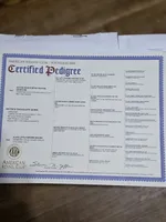 processed/4405a529-818f-4850-87cc-e9d1b1959787/listing/4b0ca6ec-6d4a-4251-8b51-ab4082a658ce/4427942c-250b-40e7-b6f4-cabcbdfb71ce