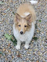 processed/4406ab10-84f0-4380-91a7-435651881f3a/facility/0f99e2de-3cd4-4ab0-82e7-dc18ea5f3c6a