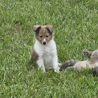 processed/4406ab10-84f0-4380-91a7-435651881f3a/facility/2c61055a-78c5-4d63-9d6a-8354c3da4cee