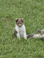 processed/4406ab10-84f0-4380-91a7-435651881f3a/facility/2c61055a-78c5-4d63-9d6a-8354c3da4cee