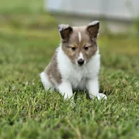 processed/4406ab10-84f0-4380-91a7-435651881f3a/facility/32cc73e1-20ae-421b-99df-534578c65526