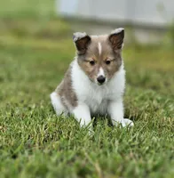 processed/4406ab10-84f0-4380-91a7-435651881f3a/facility/32cc73e1-20ae-421b-99df-534578c65526