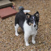 processed/4406ab10-84f0-4380-91a7-435651881f3a/facility/46a1e133-800a-4cbc-aaf1-5fd330503957