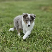 processed/4406ab10-84f0-4380-91a7-435651881f3a/facility/508b7f73-ad01-43e9-8437-ae227f349f61