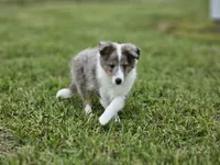 processed/4406ab10-84f0-4380-91a7-435651881f3a/facility/508b7f73-ad01-43e9-8437-ae227f349f61