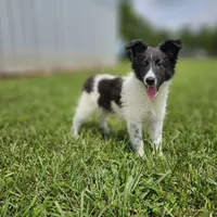 processed/4406ab10-84f0-4380-91a7-435651881f3a/facility/8210cf82-40ec-414d-bb50-6413403b8fb5