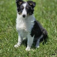 processed/4406ab10-84f0-4380-91a7-435651881f3a/facility/be5c72b1-8a74-4d5d-b095-12d8c2a6dc2c