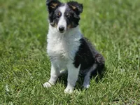 processed/4406ab10-84f0-4380-91a7-435651881f3a/facility/be5c72b1-8a74-4d5d-b095-12d8c2a6dc2c