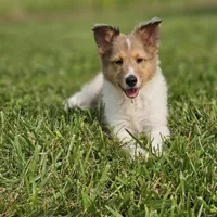 processed/4406ab10-84f0-4380-91a7-435651881f3a/facility/eb61d59d-8117-4ec3-bb56-23ff394764b0