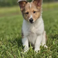 processed/4406ab10-84f0-4380-91a7-435651881f3a/facility/f17b6d78-a135-4eef-a923-465370187a95