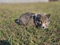 processed/4406ab10-84f0-4380-91a7-435651881f3a/listing/079679f1-8a31-4c05-94c9-5b3d6db1d83d/024d009f-3a64-4650-a856-d8e3ad8a97d6