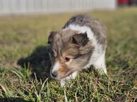 processed/4406ab10-84f0-4380-91a7-435651881f3a/listing/079679f1-8a31-4c05-94c9-5b3d6db1d83d/1a3eba46-9592-41ad-9502-b1c4d2a7d3e7