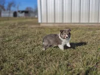 processed/4406ab10-84f0-4380-91a7-435651881f3a/listing/079679f1-8a31-4c05-94c9-5b3d6db1d83d/2501ac3a-321f-46da-a0e3-86154daa2307