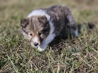 processed/4406ab10-84f0-4380-91a7-435651881f3a/listing/079679f1-8a31-4c05-94c9-5b3d6db1d83d/29e00b26-b7fc-4354-9049-9cfc4377524e