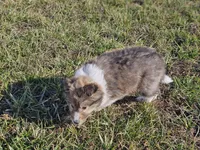 processed/4406ab10-84f0-4380-91a7-435651881f3a/listing/079679f1-8a31-4c05-94c9-5b3d6db1d83d/6ff92823-84df-4dfd-8458-b20d88eca63c