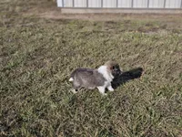 processed/4406ab10-84f0-4380-91a7-435651881f3a/listing/079679f1-8a31-4c05-94c9-5b3d6db1d83d/8ec0db2f-19ba-4ade-8b37-b1e9700f3066