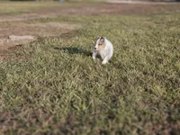 processed/4406ab10-84f0-4380-91a7-435651881f3a/listing/2949692f-7f6d-40bc-944a-78eb7b9aa028/7bc9c014-e523-451a-be4b-b782ef790e36