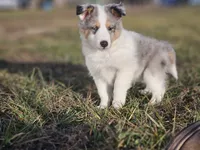 processed/4406ab10-84f0-4380-91a7-435651881f3a/listing/2949692f-7f6d-40bc-944a-78eb7b9aa028/8ec141fc-5990-4359-834e-fb8b41e96990