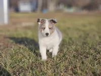 processed/4406ab10-84f0-4380-91a7-435651881f3a/listing/2949692f-7f6d-40bc-944a-78eb7b9aa028/916f98bc-aa0e-4c0b-8b7a-ddb920af8d82