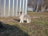 processed/4406ab10-84f0-4380-91a7-435651881f3a/listing/2949692f-7f6d-40bc-944a-78eb7b9aa028/b6bc7806-208d-4444-8db3-a9e006fbd965