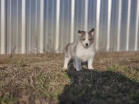 processed/4406ab10-84f0-4380-91a7-435651881f3a/listing/2949692f-7f6d-40bc-944a-78eb7b9aa028/b76f7bab-9e5e-4d13-bafe-4b1ce7ab8f89