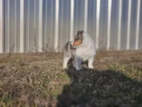 processed/4406ab10-84f0-4380-91a7-435651881f3a/listing/2949692f-7f6d-40bc-944a-78eb7b9aa028/c6b1f924-4699-4f7e-b6fb-c3d4d1cc6633