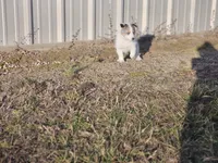 processed/4406ab10-84f0-4380-91a7-435651881f3a/listing/2949692f-7f6d-40bc-944a-78eb7b9aa028/c7d34efb-2afb-4de2-a95f-58b99c753a9b