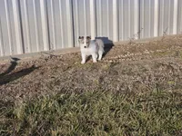 processed/4406ab10-84f0-4380-91a7-435651881f3a/listing/2949692f-7f6d-40bc-944a-78eb7b9aa028/f7d44c73-e5db-4599-bdda-847d6c9a49ed