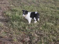 processed/4406ab10-84f0-4380-91a7-435651881f3a/listing/4cc00768-d3ad-4d9f-bda8-701aeeefc0cd/042e2bdb-1f8f-4ff5-bd94-92506b870b39