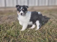 processed/4406ab10-84f0-4380-91a7-435651881f3a/listing/4cc00768-d3ad-4d9f-bda8-701aeeefc0cd/1f59dd48-decc-4356-bc89-c82481cb9d1f