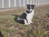 processed/4406ab10-84f0-4380-91a7-435651881f3a/listing/4cc00768-d3ad-4d9f-bda8-701aeeefc0cd/49272de6-eb8d-4c71-802d-8d96eef29c46