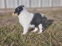 processed/4406ab10-84f0-4380-91a7-435651881f3a/listing/4cc00768-d3ad-4d9f-bda8-701aeeefc0cd/6e96566d-4225-4163-b313-7e69e002e0de