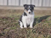 processed/4406ab10-84f0-4380-91a7-435651881f3a/listing/4cc00768-d3ad-4d9f-bda8-701aeeefc0cd/78f1d497-5fe7-43e8-8f2b-597143f33ac3