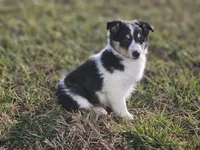 processed/4406ab10-84f0-4380-91a7-435651881f3a/listing/4cc00768-d3ad-4d9f-bda8-701aeeefc0cd/ab566626-e653-4737-8c61-002d3ea3a5c8