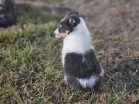 processed/4406ab10-84f0-4380-91a7-435651881f3a/listing/4cc00768-d3ad-4d9f-bda8-701aeeefc0cd/c5caf908-e3e5-4972-a168-f97f446922db