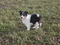 processed/4406ab10-84f0-4380-91a7-435651881f3a/listing/4cc00768-d3ad-4d9f-bda8-701aeeefc0cd/e707e988-e258-4742-91d0-6775d9710732